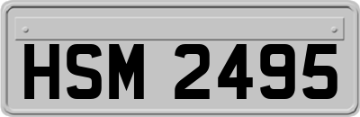 HSM2495