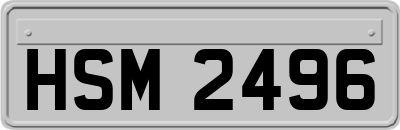 HSM2496