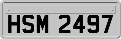 HSM2497