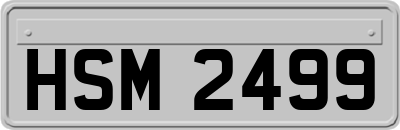 HSM2499