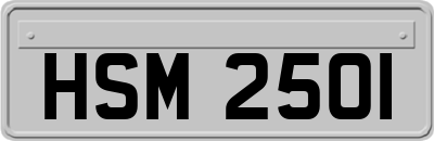 HSM2501