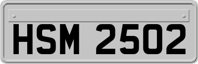 HSM2502