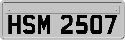 HSM2507