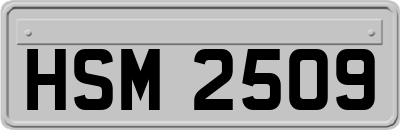 HSM2509
