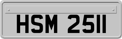 HSM2511