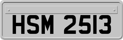 HSM2513