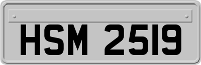 HSM2519