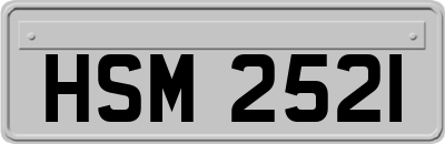 HSM2521