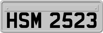 HSM2523
