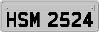 HSM2524