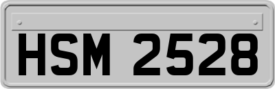 HSM2528