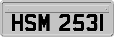 HSM2531