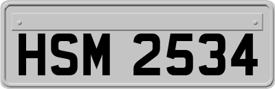 HSM2534