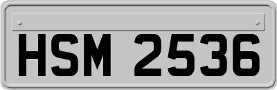 HSM2536