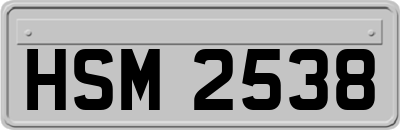 HSM2538