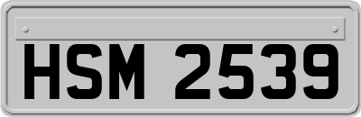HSM2539