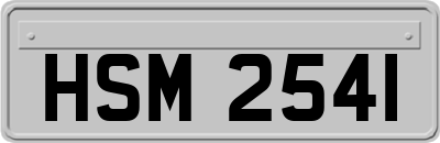 HSM2541
