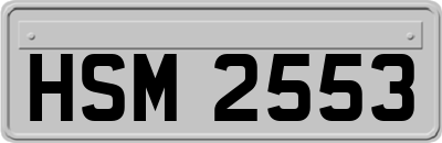 HSM2553