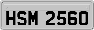 HSM2560