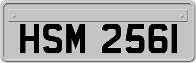 HSM2561