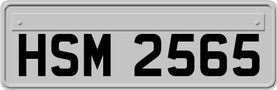 HSM2565