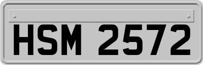 HSM2572