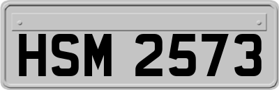 HSM2573