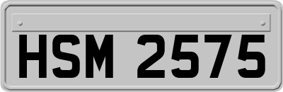 HSM2575