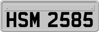 HSM2585