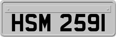 HSM2591