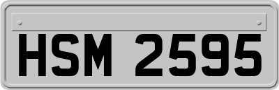 HSM2595