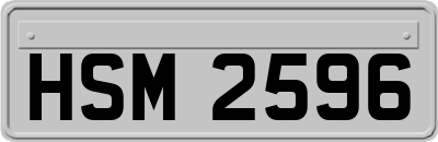 HSM2596