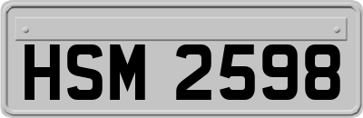 HSM2598