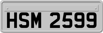 HSM2599