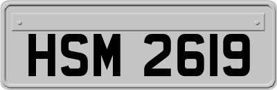 HSM2619