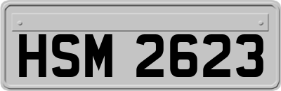 HSM2623