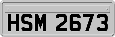 HSM2673