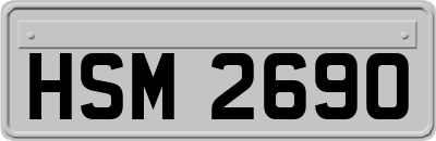 HSM2690
