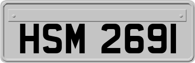 HSM2691