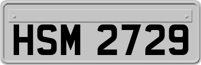 HSM2729