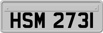 HSM2731