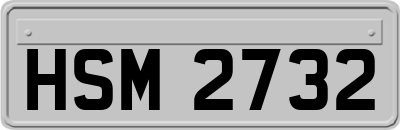 HSM2732