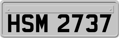 HSM2737