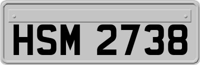 HSM2738
