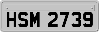 HSM2739