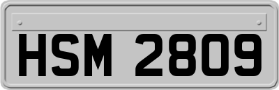 HSM2809