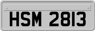 HSM2813