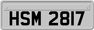 HSM2817