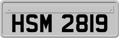 HSM2819