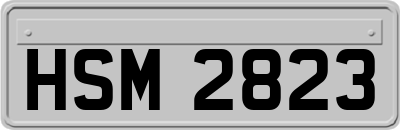 HSM2823